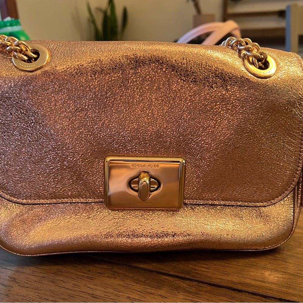 Coach sparkles purse